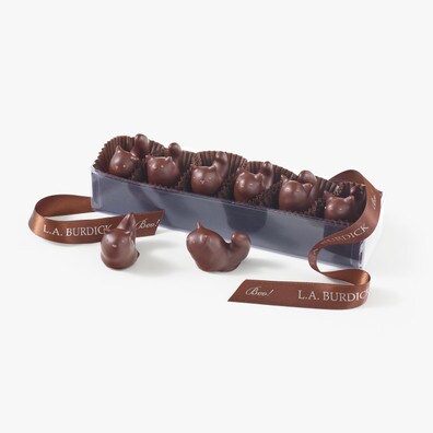 Thumbnail image for Chocolate Black Cats